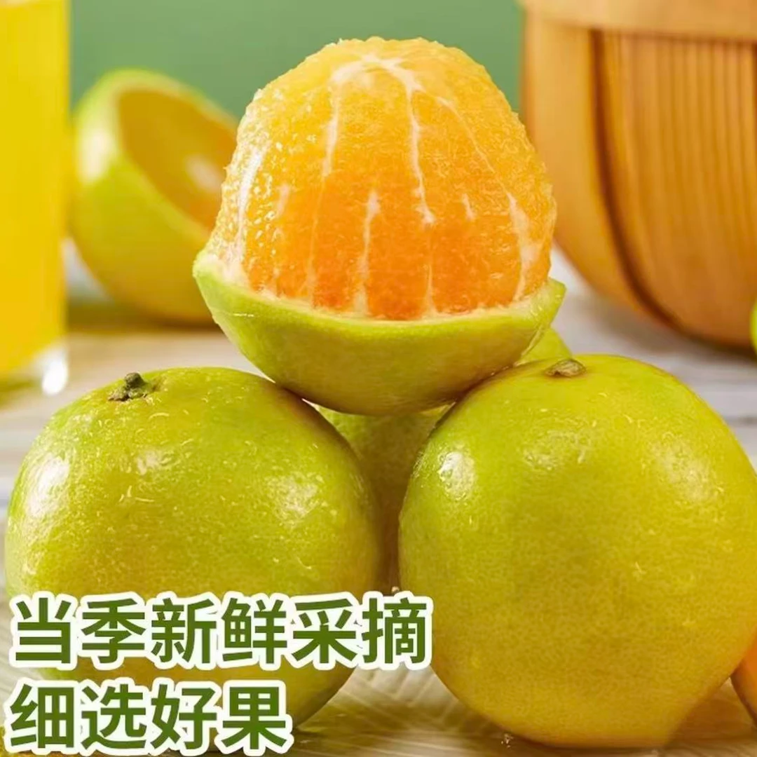 云南哀牢山冰糖橙当季新鲜水果甘甜多汁（赠开果器）