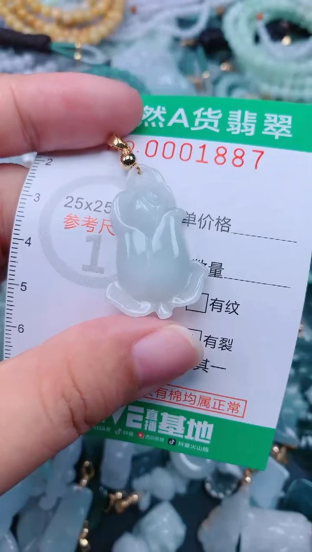 颈饰未镶嵌翡翠.0001887