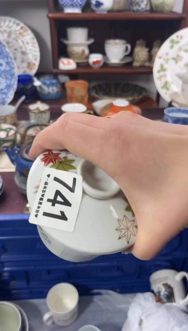 【闪购商品】瓷片741...........