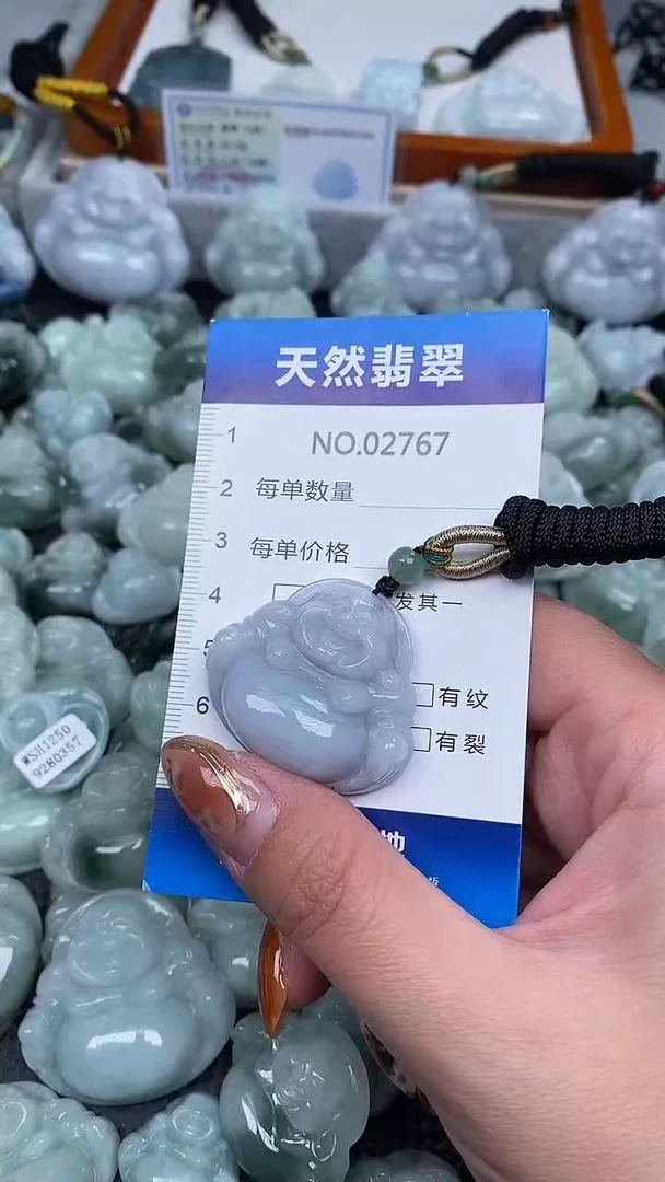 颈饰未镶嵌翡翠纯天然A货翡翠2767