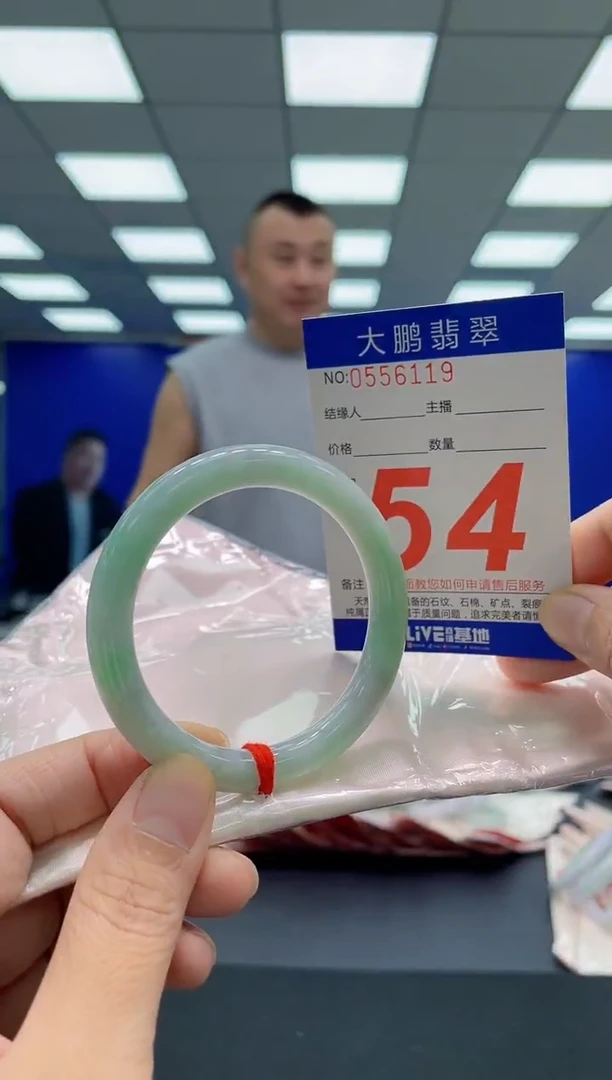 未镶嵌手镯翡翠AAAAAAAAA