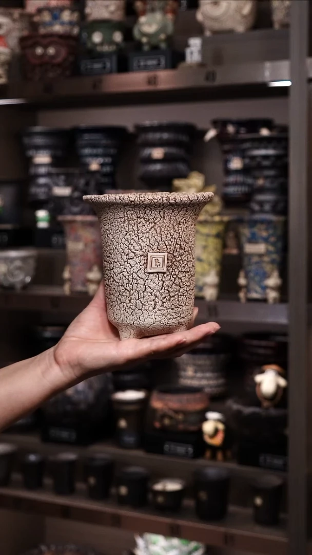 文 泰国进口手工花盆个性创意花盆