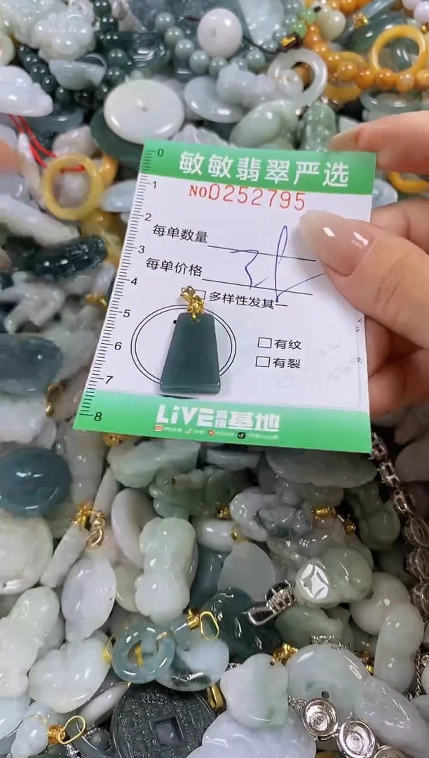 翡翠未镶嵌颈饰闪购0252795