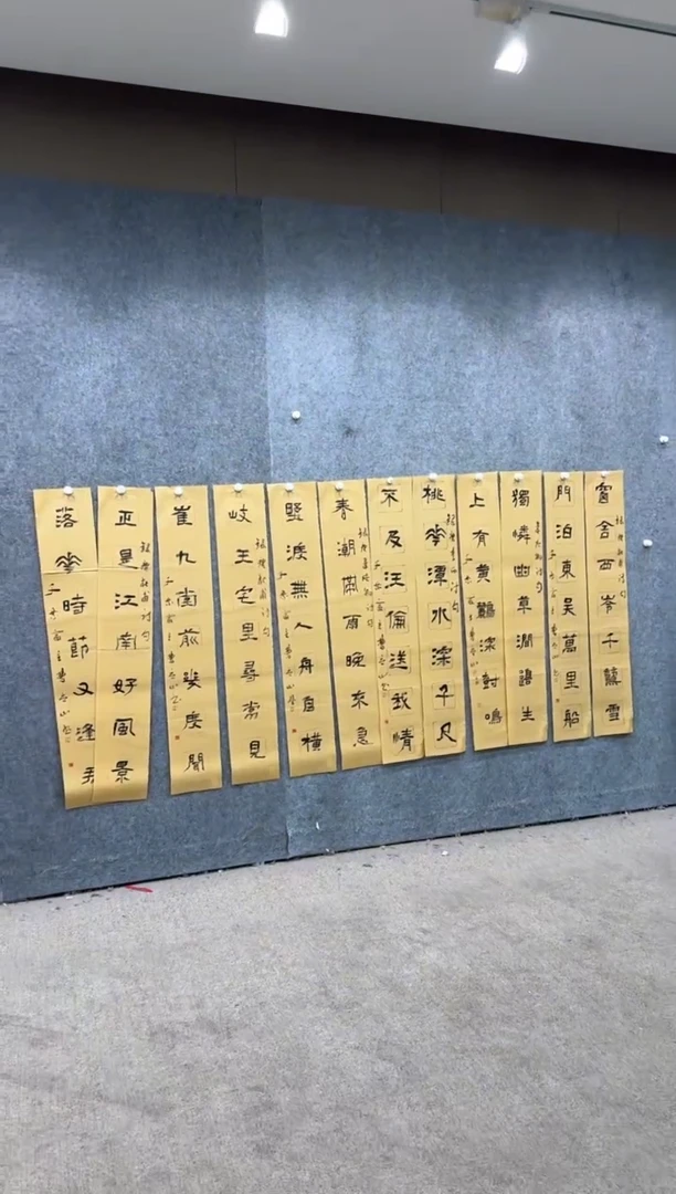 【闪购商品】书法pmw不二轩旗舰店书法CLS9