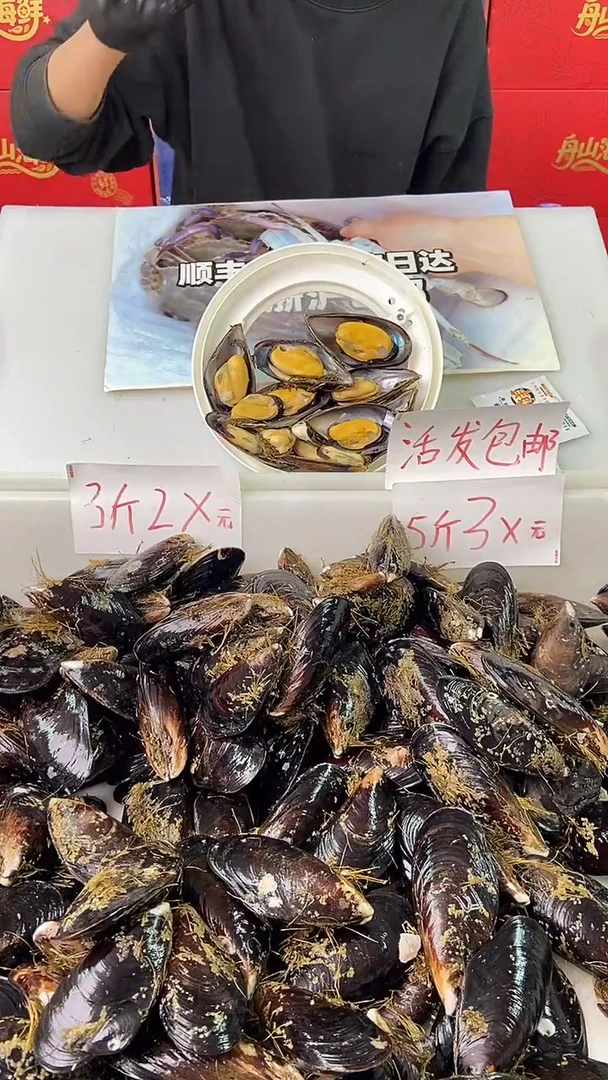 中国大陆【活发包邮】舟山嵊泗直发特大规格10只/斤，5斤装