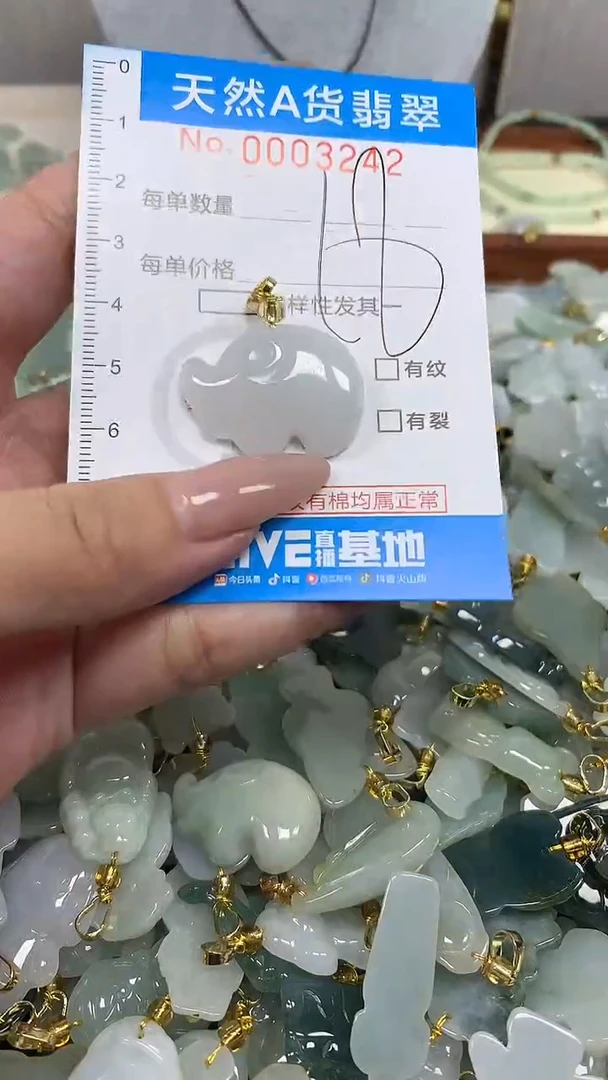 翡翠未镶嵌颈饰净货挂件-3242