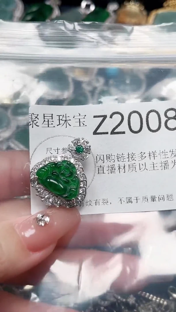 【闪购商品】翡翠颈饰未镶嵌赠皮绳2008