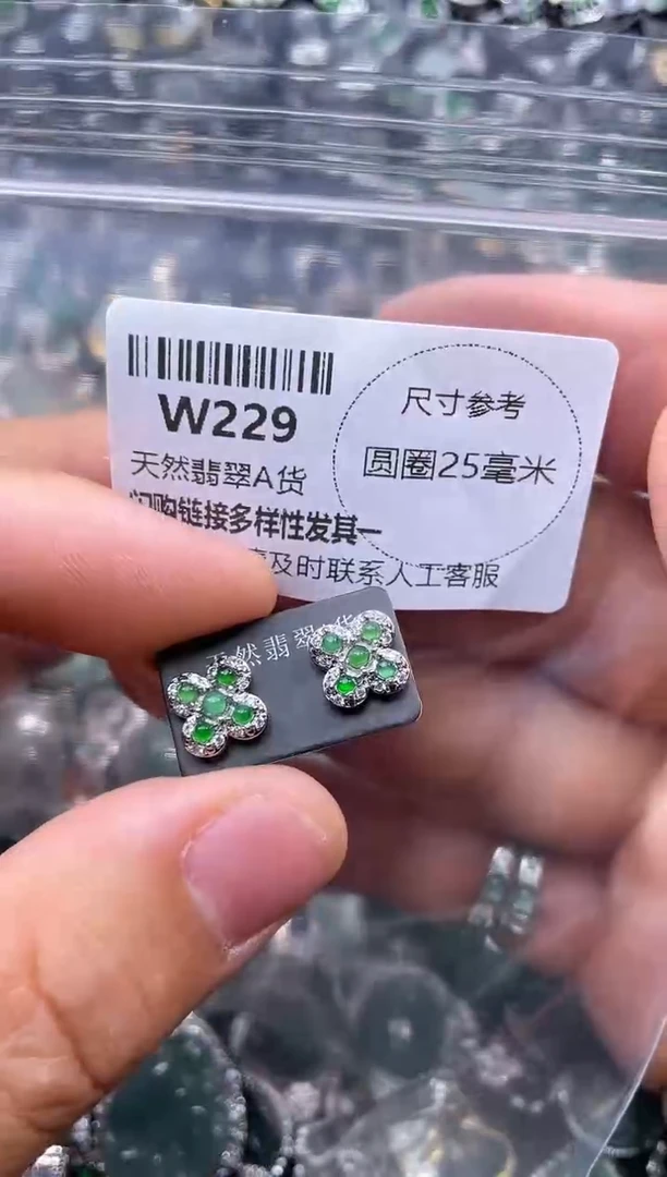 【闪购商品】翡翠颈饰未镶嵌W229耳钉