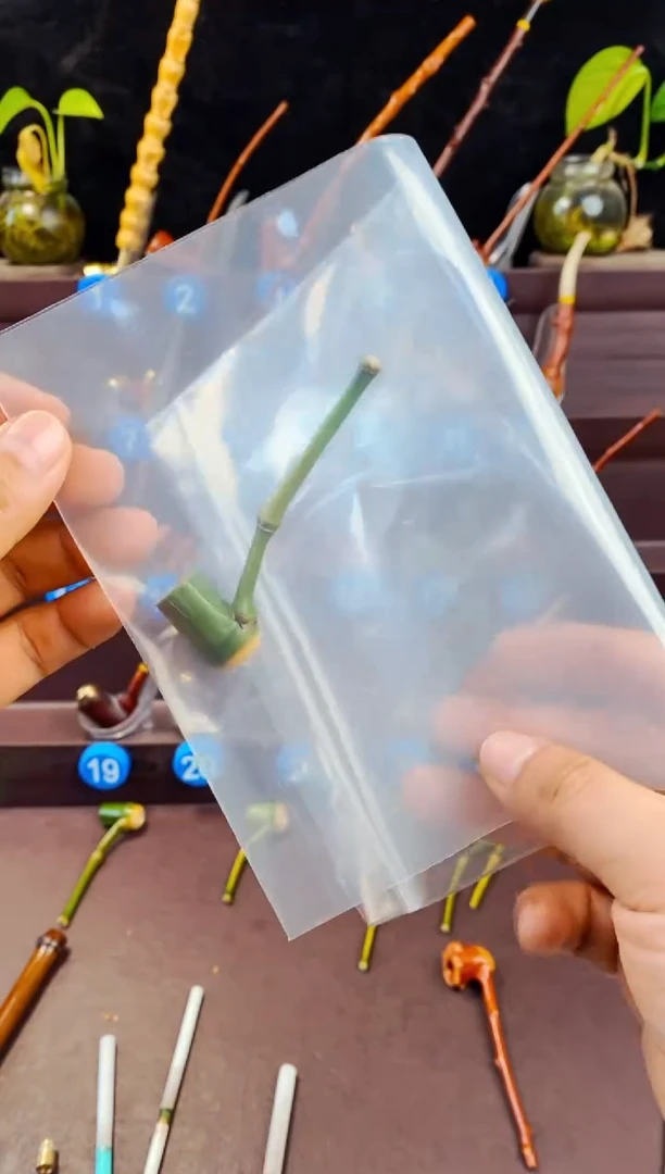 木渣****2檬子木的精品小斗