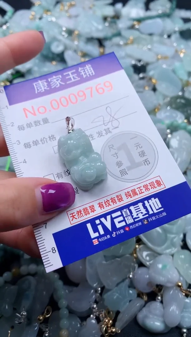 颈饰未镶嵌翡翠9769