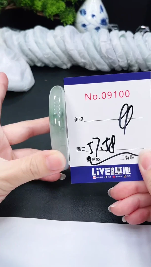 未镶嵌手镯翡翠9100