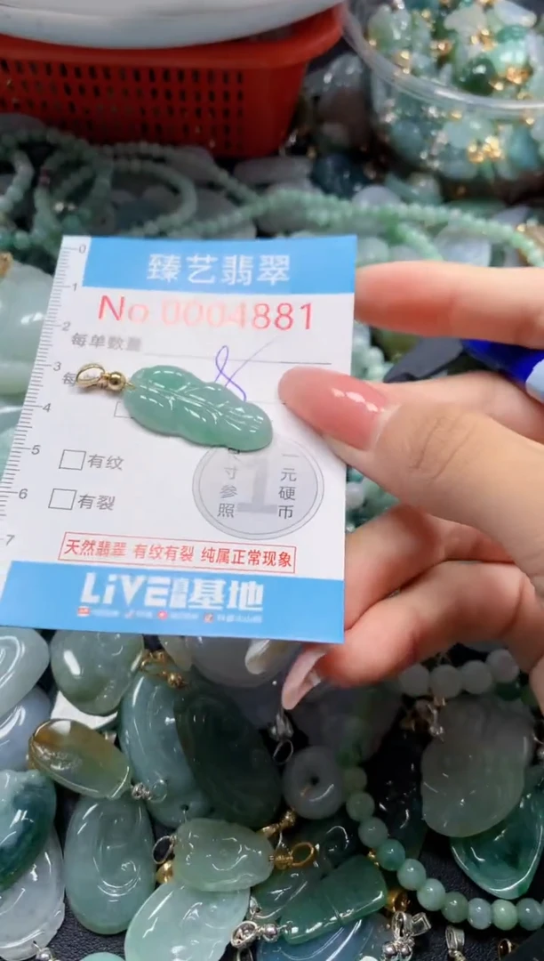 翡翠未镶嵌吊坠(不含链)4881