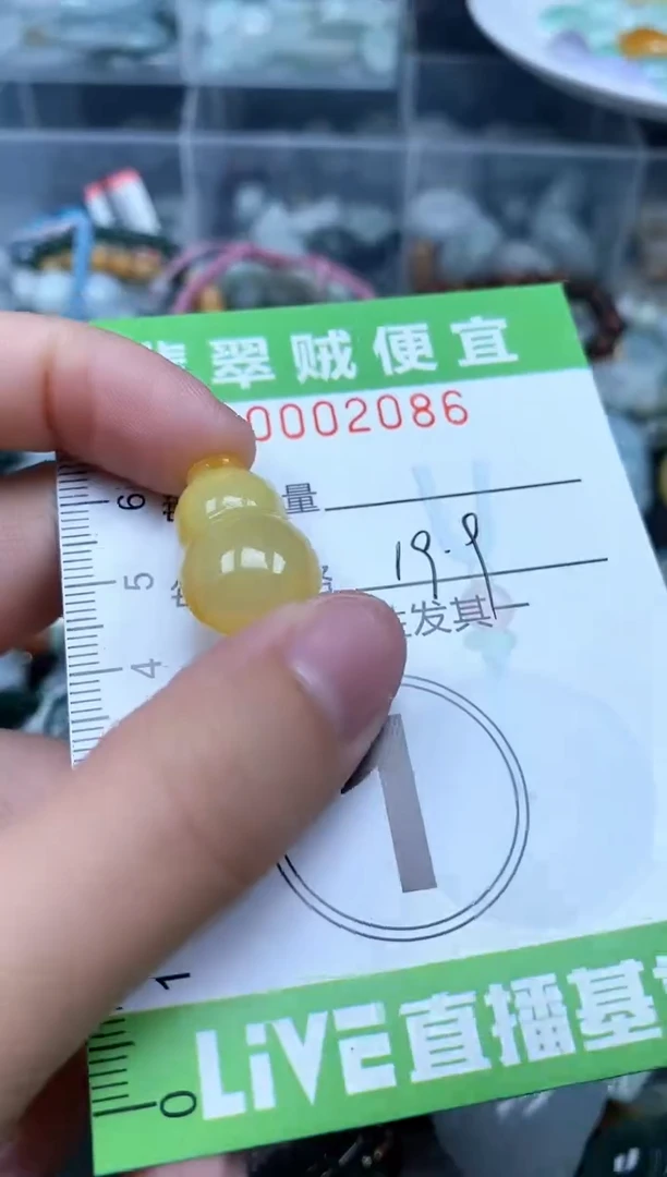 翡翠未镶嵌颈饰Z闪购0002086