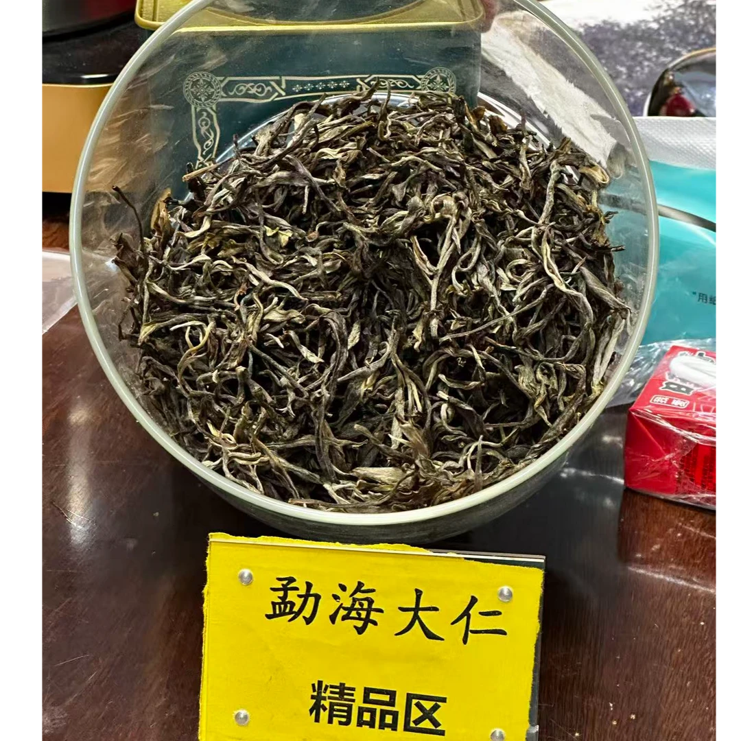 DR9-24【精品区A27】“普洱茶”2025年南糯山拔玛茶王树高杆春生散茶