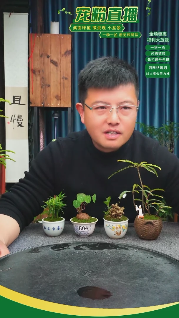 无花朵岚*苔藓微景观8004号