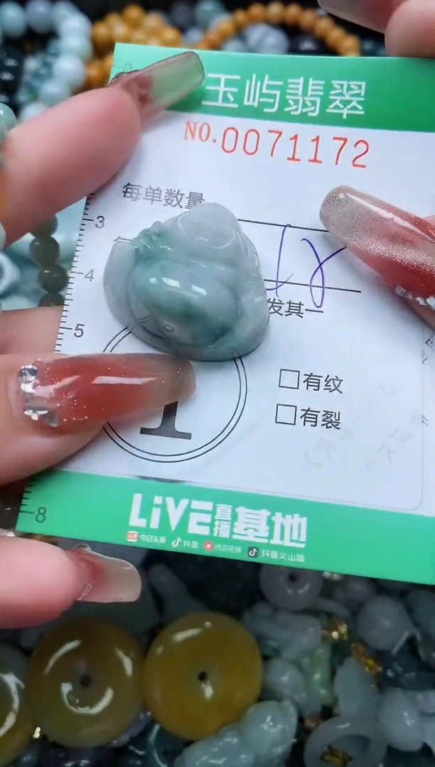 【闪购商品】翡翠颈饰未镶嵌闪购0071172