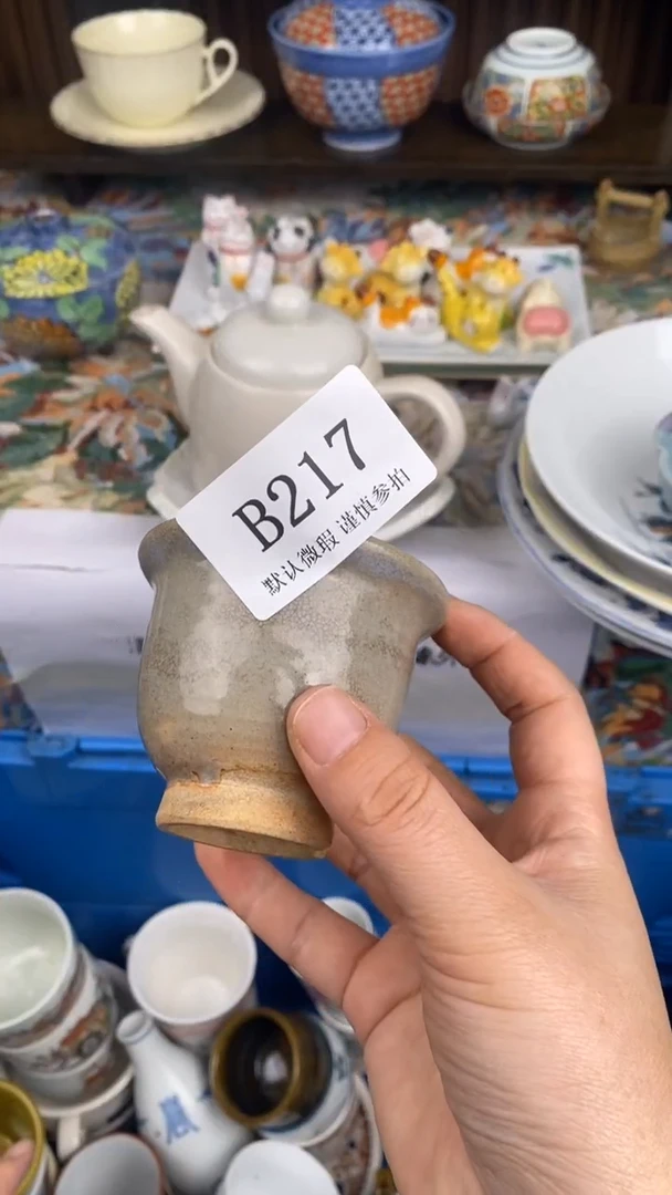 瓷片蔡**_B217 瓷片  一物一拍