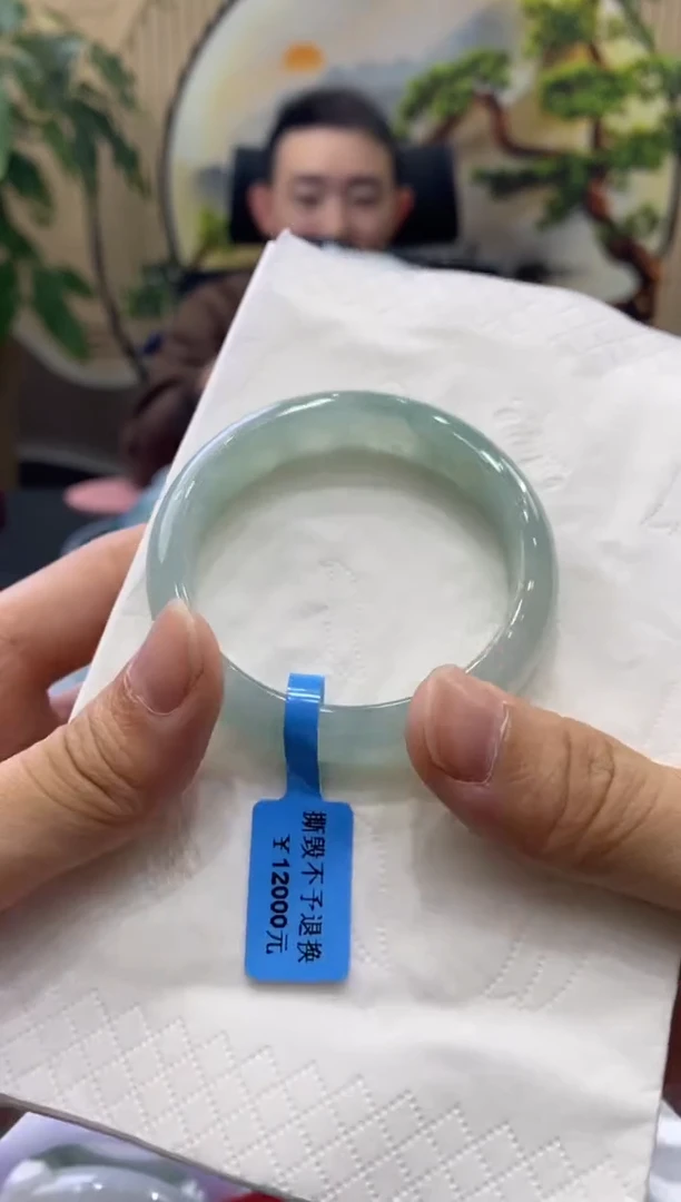 未镶嵌手镯翡翠6619