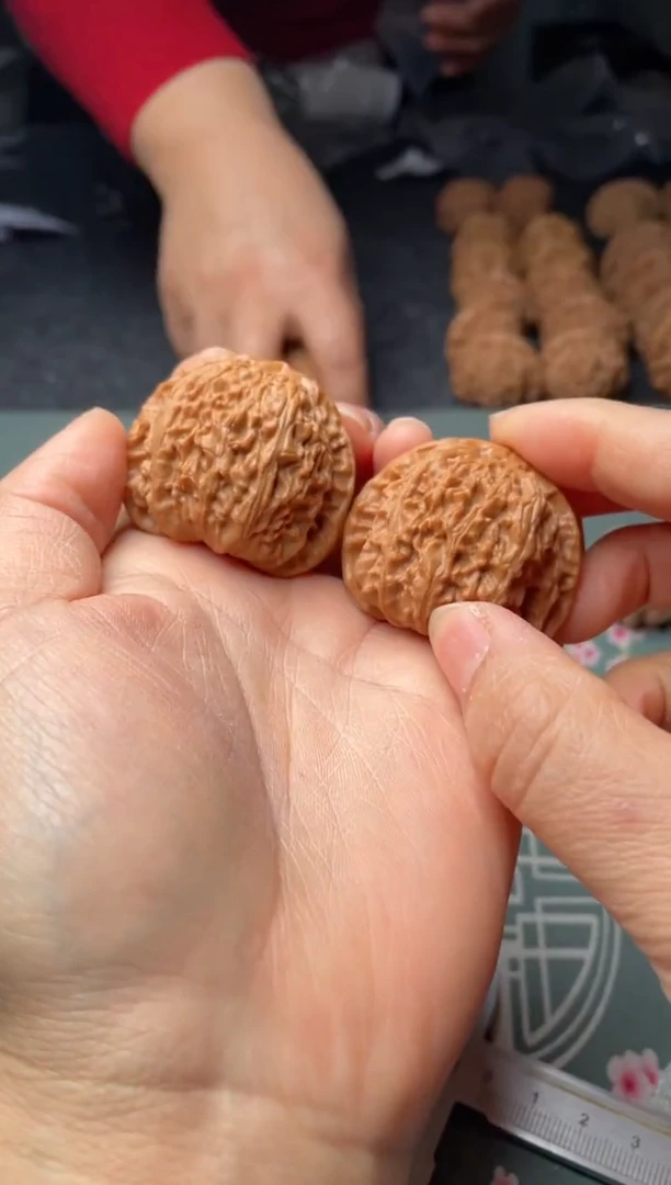 把件文玩核桃w62  白狮子 42尺