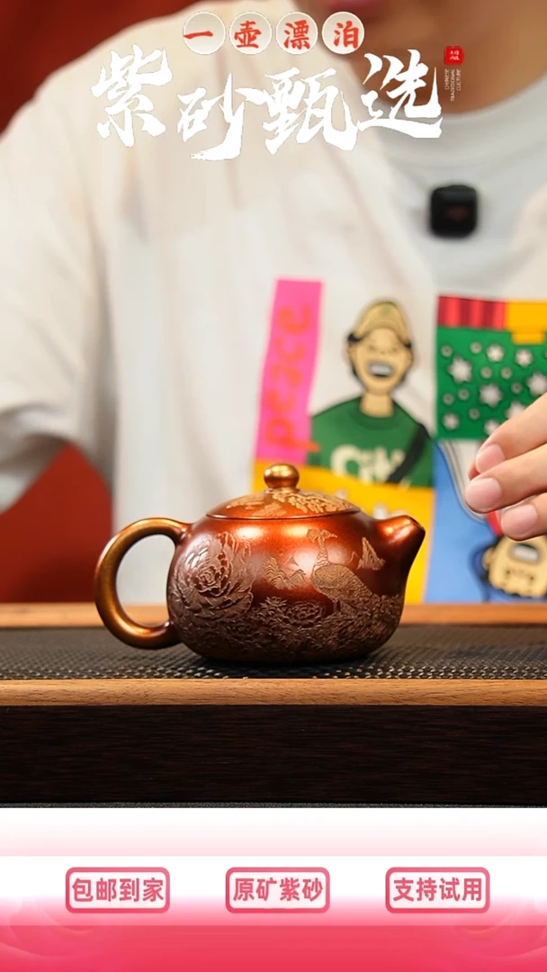 茶壶紫砂 一壶漂泊紫砂茶器