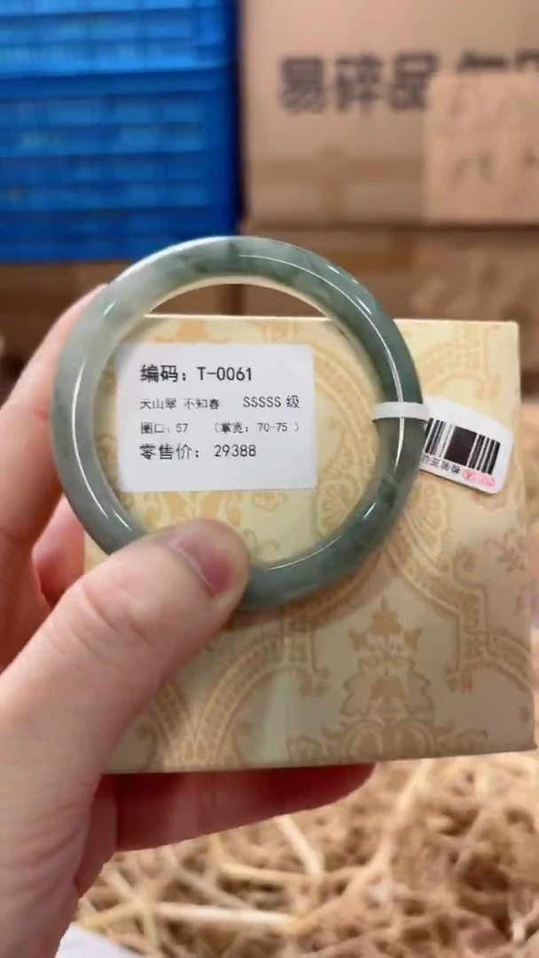 未镶嵌手镯石英质玉T-0061