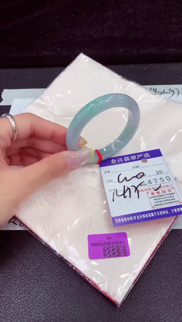 未镶嵌手镯翡翠1111111