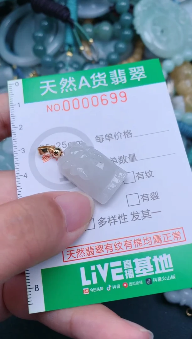 翡翠未镶嵌颈饰.0000699