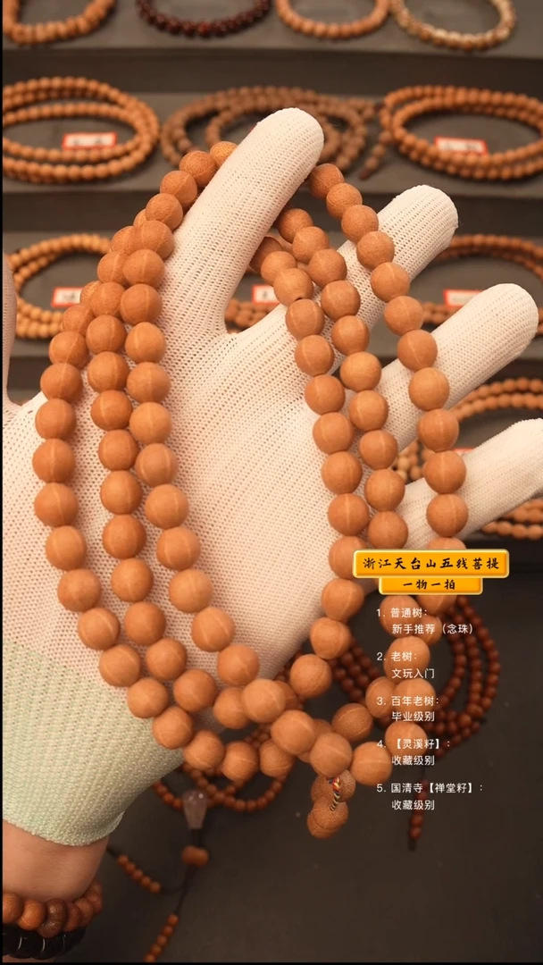 吊坠五线菩提博*脖挂