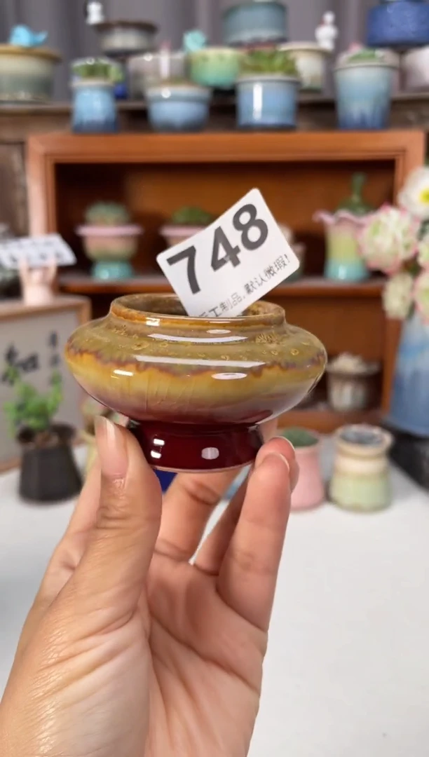瓷片748知木小芳花盆编号