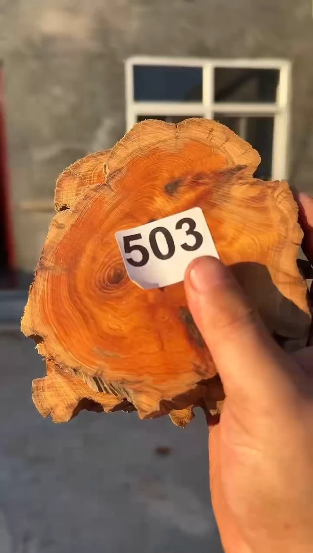 柏木（崖柏）太行陈化崖柏现切先拍！卡1.5 随机一片！（1单1片）503