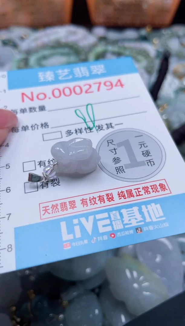 颈饰未镶嵌翡翠2794