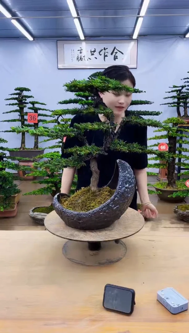 无花朵一物一拍，所见即所得