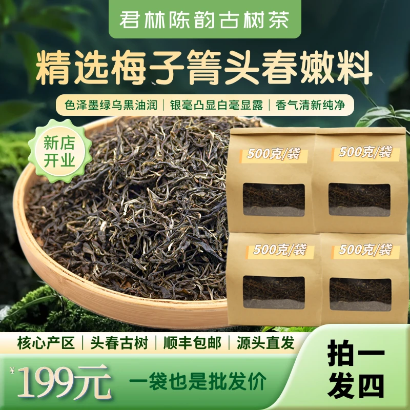 梅子箐源头茶厂批发 2025年头春 普洱茶生茶  散茶  花香 蜜香