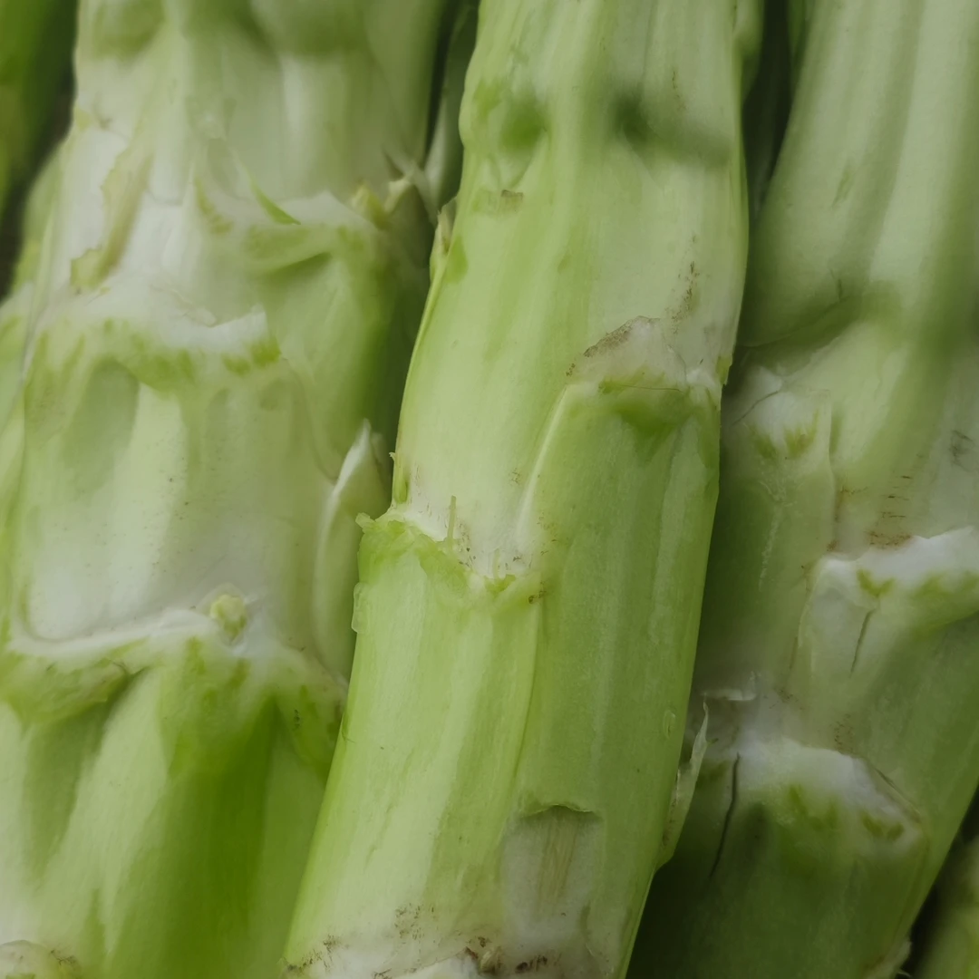 四川蔬菜新鲜采摘农家菜棒棒菜