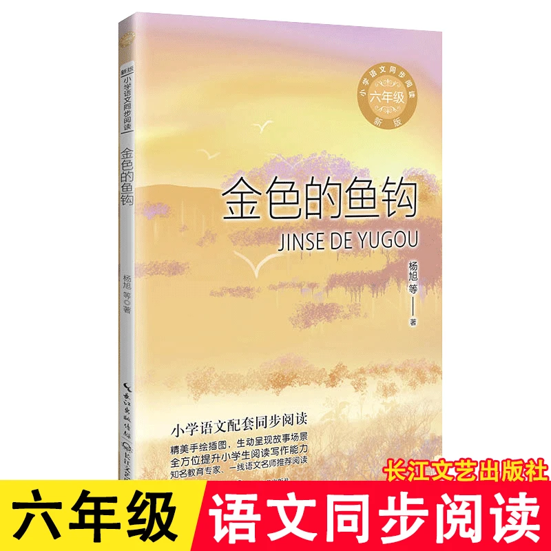 金色的鱼钩书籍正版六年级语文同步阅读课外书长江文艺出版社