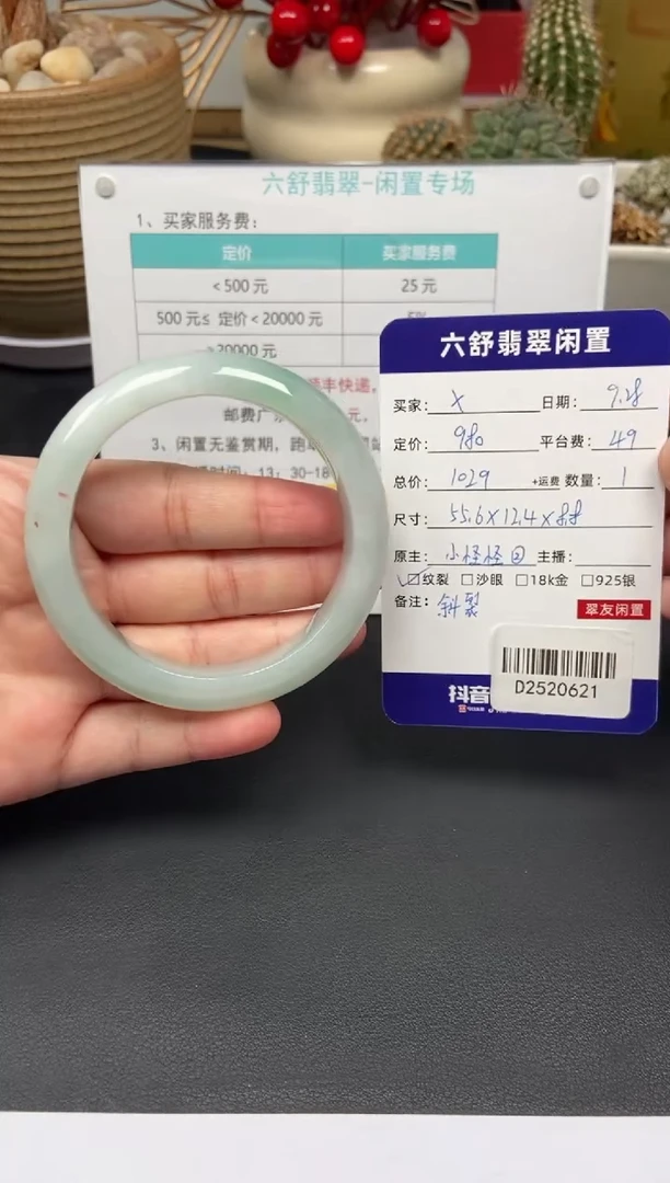 未镶嵌手镯翡翠**D2520621