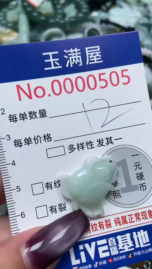 颈饰未镶嵌翡翠505