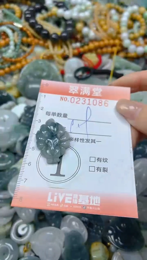 颈饰未镶嵌翡翠闪购0231086