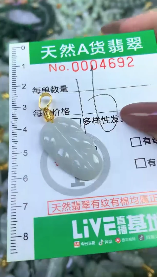 颈饰未镶嵌翡翠纯天然缅甸A货翡翠