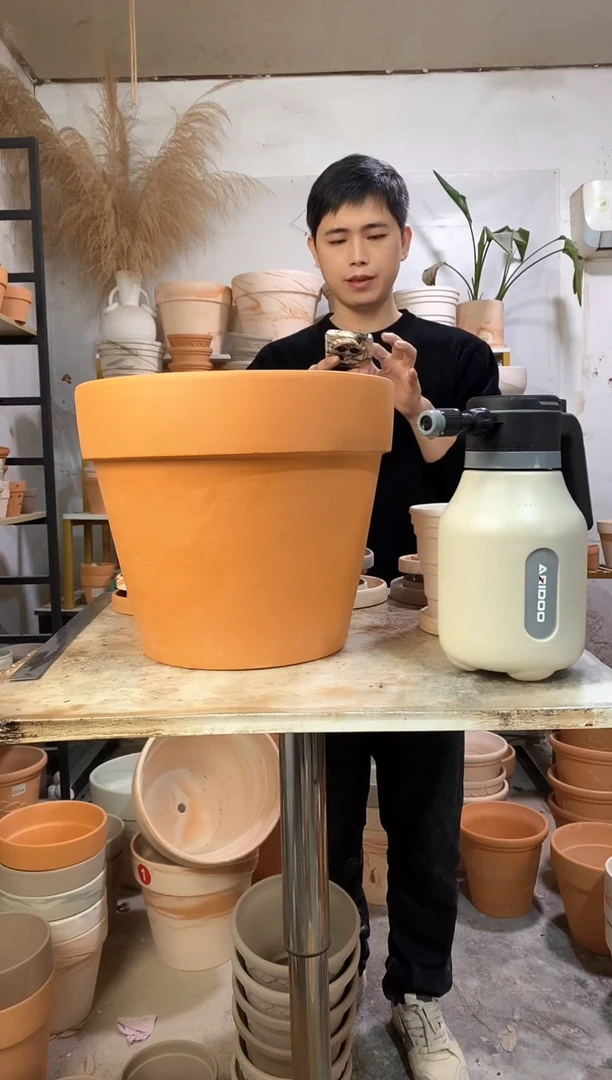 35*30红陶国际 1盆无托