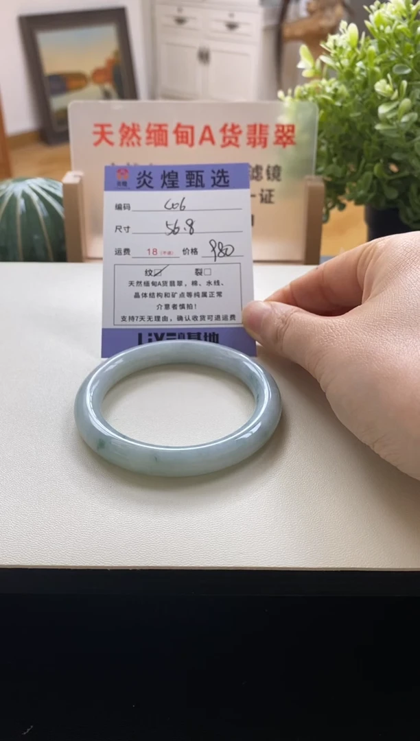 未镶嵌手镯翡翠圈口56.8编码c06