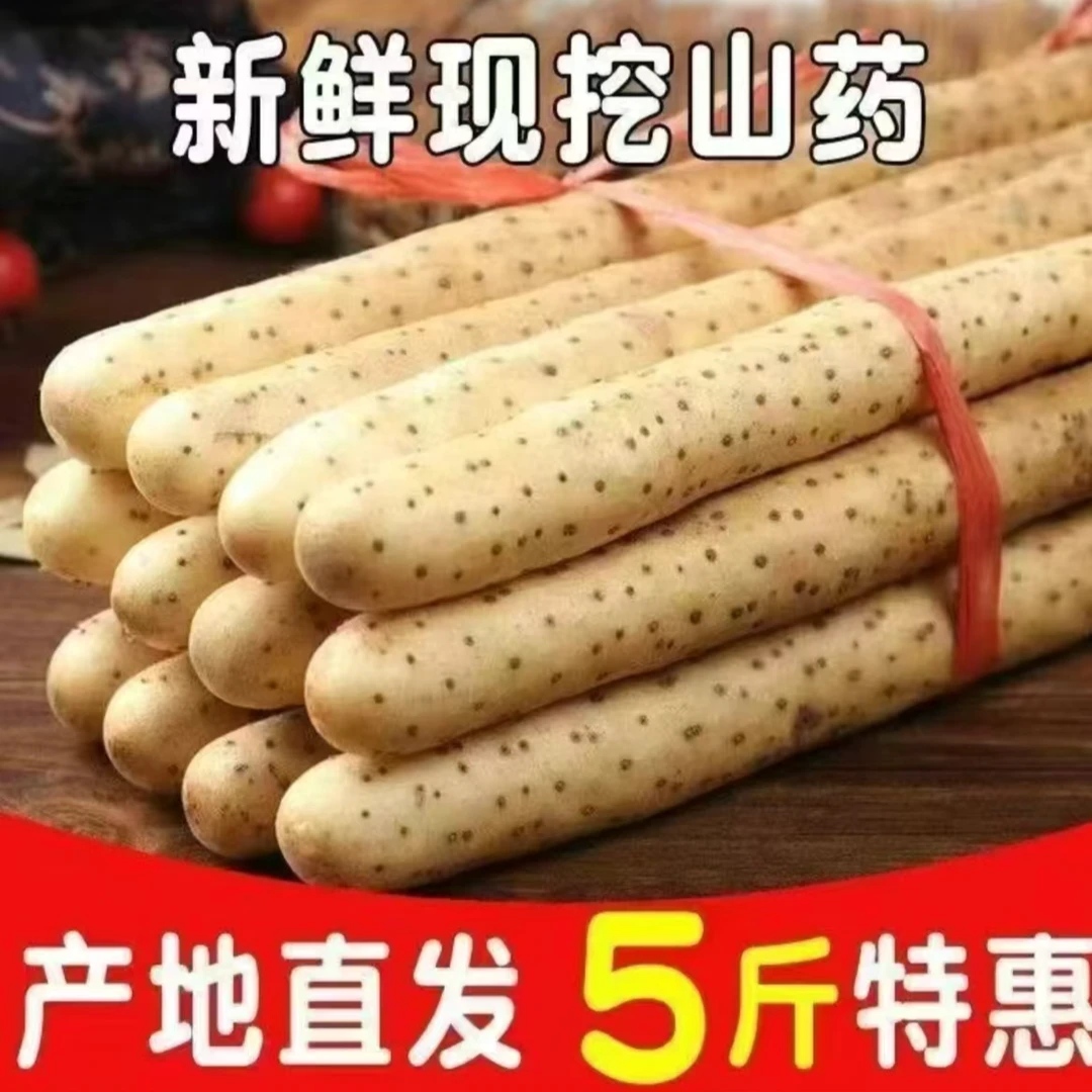 正宗铁棍山药小白嘴山药淮山药新鲜种植产地直发带土5斤