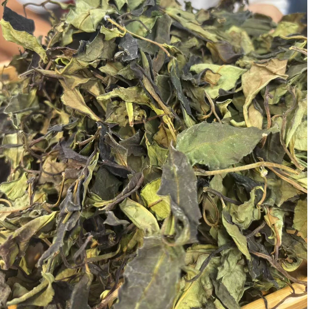 2025年头春永德荒野高杆白茶散茶200克8月2日-【22号品】