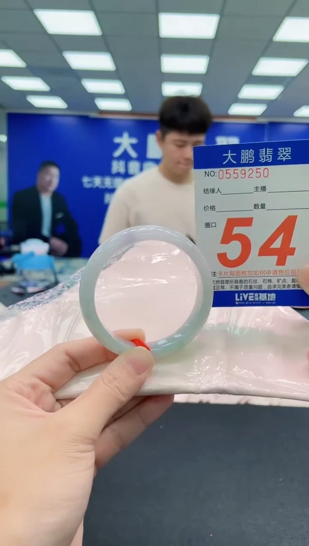 未镶嵌手镯翡翠AAAAAAAAA