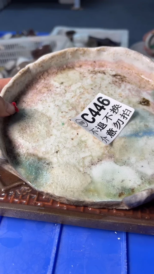 小龙堂不退不换澜*446