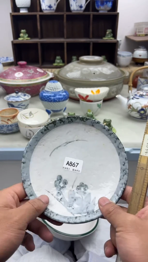 【闪购商品】碟A867.............