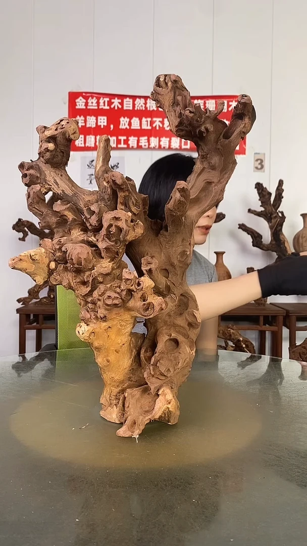 香榧木大****领金丝红木   羊蹄甲