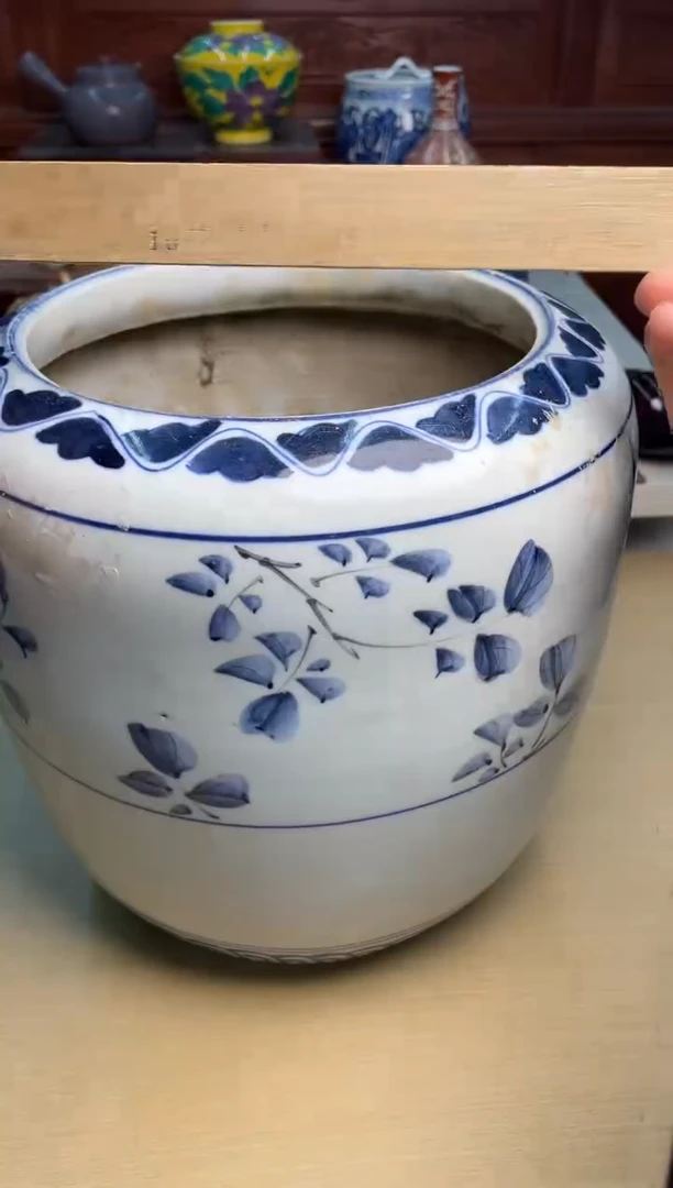 209号直播专用链接