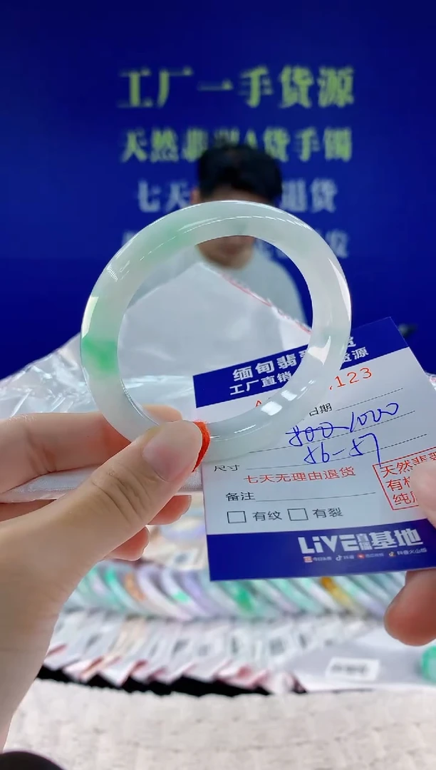 未镶嵌手镯翡翠23