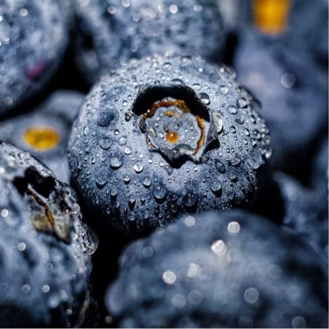 0【京东/顺丰】云南花香蓝莓d多规格高原种植现摘水果8盒装